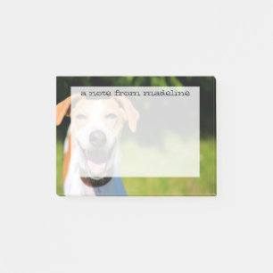 Getty Images  Lachen Post-it Klebezettel