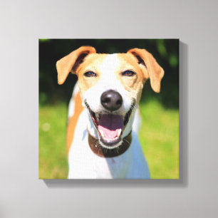 Getty Images Lachhund Leinwanddruck