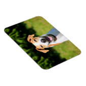 Getty Images | Lachhund Magnet (Rechte Seite)