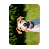 Getty Images | Lachhund Magnet (Vertikal)