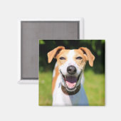 Getty Images | Lachhund Magnet (Vorderseite/Rückseite)