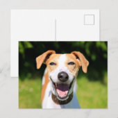 Getty Images | Lachhund Postkarte (Vorne/Hinten)