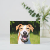 Getty Images | Lachhund Postkarte (Stehend Vorderseite)