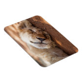 Getty Images | Lion Cub Magnet (Rechte Seite)