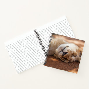 Getty Images   Lion Cub Notizblock