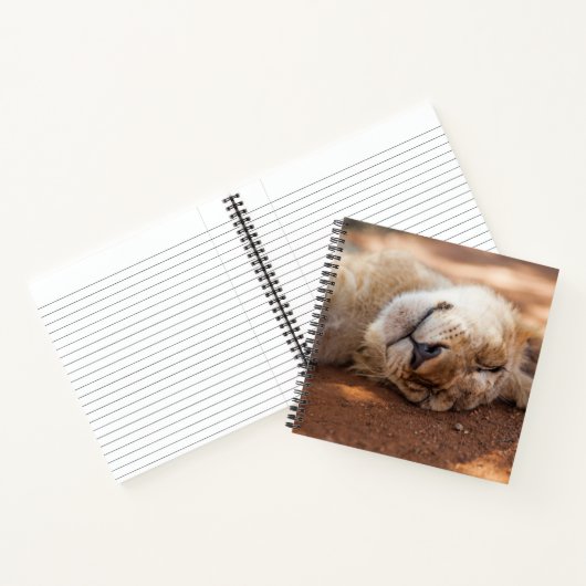 Getty Images | Lion Cub Notizblock (Innenseite)