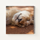 Getty Images | Lion Cub Notizblock (Rückseite)