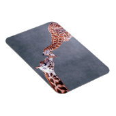 Getty Images | Mutter und Baby Giraffe Magnet (Rechte Seite)