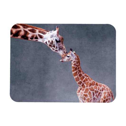 Getty Images | Mutter und Baby Giraffe Magnet (Horizontal)