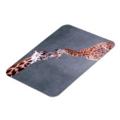 Getty Images | Mutter und Baby Giraffe Magnet (Linke Seite)