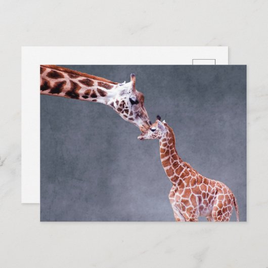 Getty Images | Mutter und Baby Giraffe Postkarte (Vorne/Hinten)
