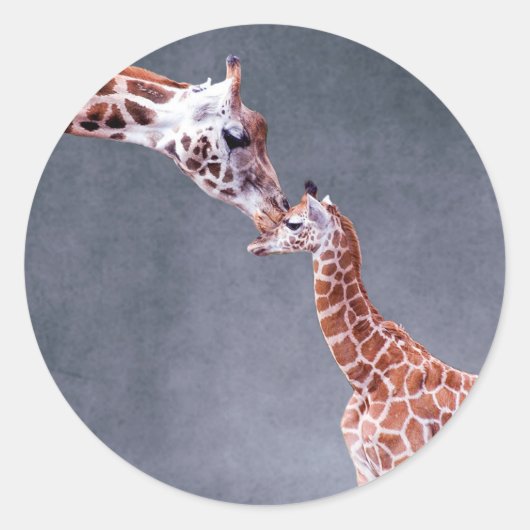 Getty Images | Mutter und Baby Giraffe Runder Aufkleber (Vorderseite)
