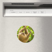 Getty Images | Nach oben Magnet (In Situ (Geschirrspüler))