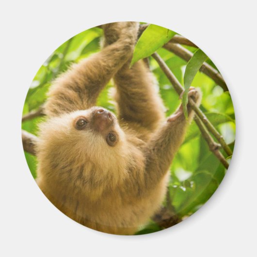 Getty Images | Nach oben Magnet (Vorne)
