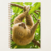 Getty Images | Nach oben Planer (Vorderseite)