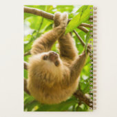 Getty Images | Nach oben Planer (Rückseite)