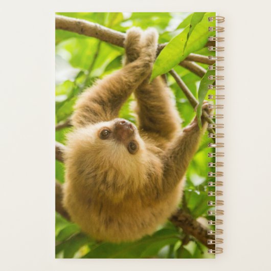 Getty Images | Nach oben Planer (Rückseite)