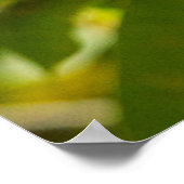 Getty Images | Nach oben Poster (Ecke)