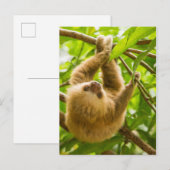 Getty Images | Nach oben Postkarte (Vorne/Hinten)