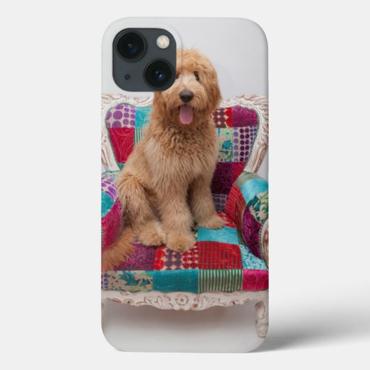 Getty Images | Niedlich Goldendoodle Case-Mate iPhone Hülle (Rückseite)