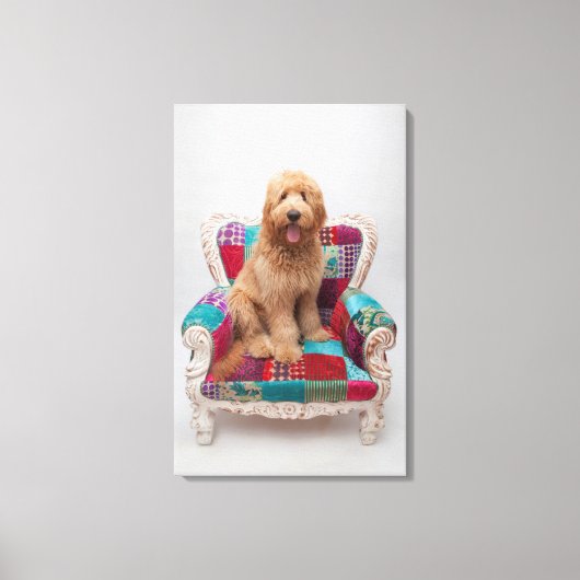 Getty Images | Niedlich Goldendoodle Leinwanddruck (Vorderseite)