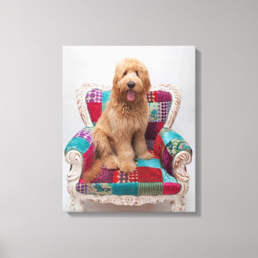 Getty Images | Niedlich Goldendoodle Leinwanddruck (Vorderseite)