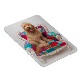 Getty Images | Niedlich Goldendoodle Magnet (Rechte Seite)