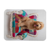 Getty Images | Niedlich Goldendoodle Magnet (Horizontal)
