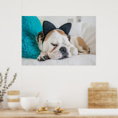 Getty Images | Schlafzunge Hund mit Kopfband Poster (Küche)