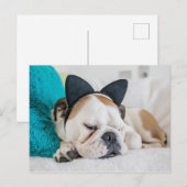 Getty Images | Schlafzunge Hund mit Kopfband Postkarte (Vorne/Hinten)