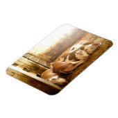 Getty Images | Schnappschweine Magnet (Linke Seite)