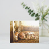 Getty Images | Schnappschweine Postkarte (Stehend Vorderseite)