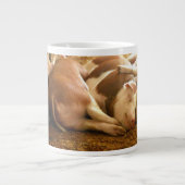 Getty Images| Schweine Jumbo-Tasse (Vorderseite)