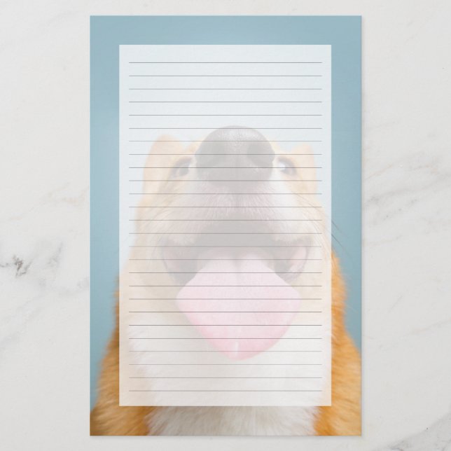 Getty Images | Sehr glücklich Corgi (Vorderseite)