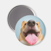 Getty Images | Sehr glücklich Corgi Magnet (Vorderseite/Rückseite)