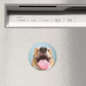 Getty Images | Sehr glücklich Corgi Magnet (In Situ (Geschirrspüler))