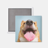 Getty Images | Sehr glücklich Corgi Magnet (Vorderseite/Rückseite)