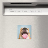 Getty Images | Sehr glücklich Corgi Magnet (In Situ (Geschirrspüler))