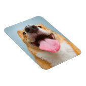 Getty Images | Sehr glücklich Corgi Magnet (Rechte Seite)