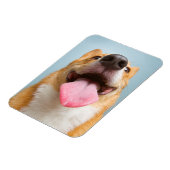Getty Images | Sehr glücklich Corgi Magnet (Linke Seite)