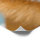 Getty Images | Sehr glücklich Corgi Poster (Ecke)