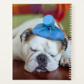 Getty Images | Sick Young Puppy Planer (Rückseite)