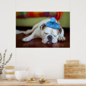 Getty Images | Sick Young Puppy Poster (Küche)
