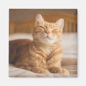 Getty Images | Sleepy Cat Magnet (Vorne)