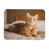 Getty Images | Sleepy Cat Magnet (Horizontal)