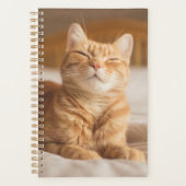 Getty Images | Sleepy Cat Planer (Vorderseite)