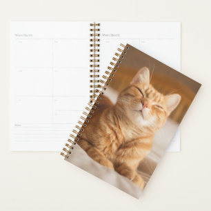 Getty Images Sleepy Cat Planer