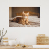 Getty Images | Sleepy Cat Poster (Küche)