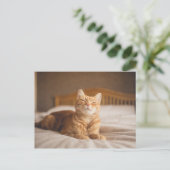 Getty Images | Sleepy Cat Postkarte (Stehend Vorderseite)