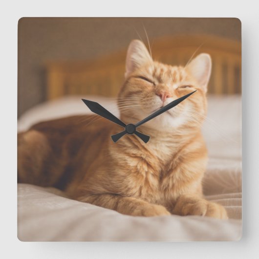 Getty Images | Sleepy Cat Quadratische Wanduhr (Vorderseite)